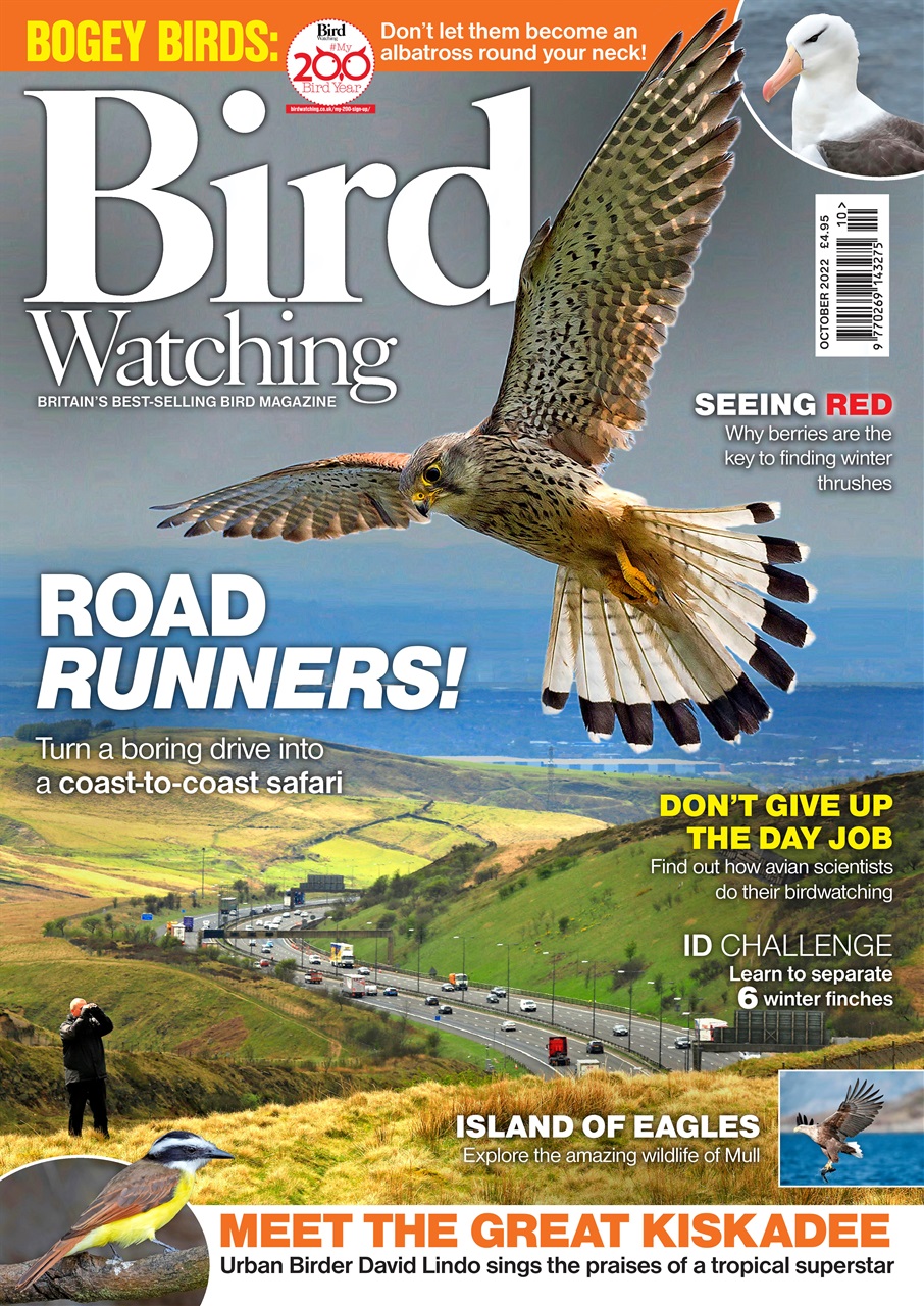 Bird Watching Preview Pages