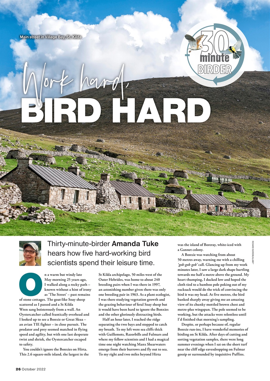 Bird Watching Preview Pages