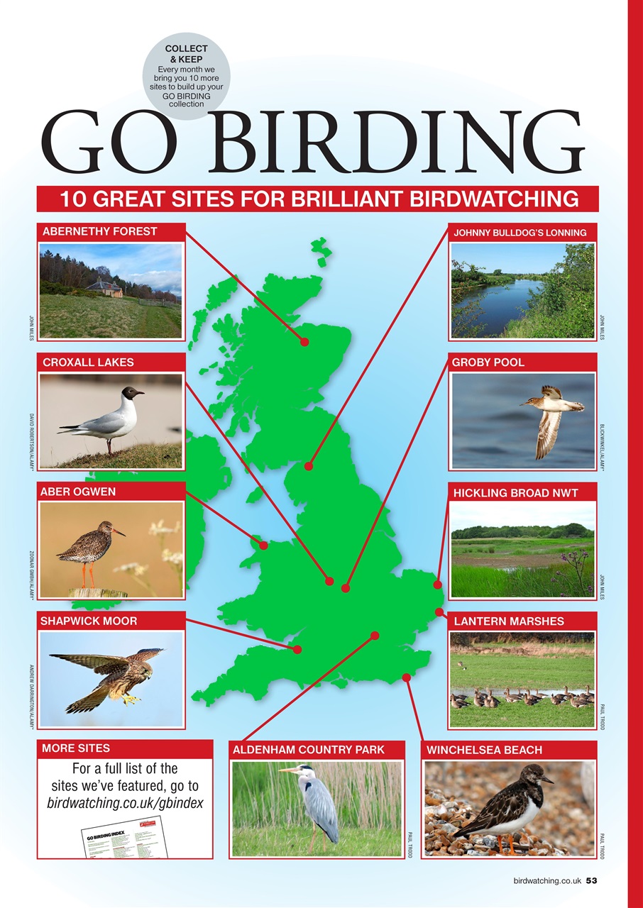 Bird Watching Preview Pages