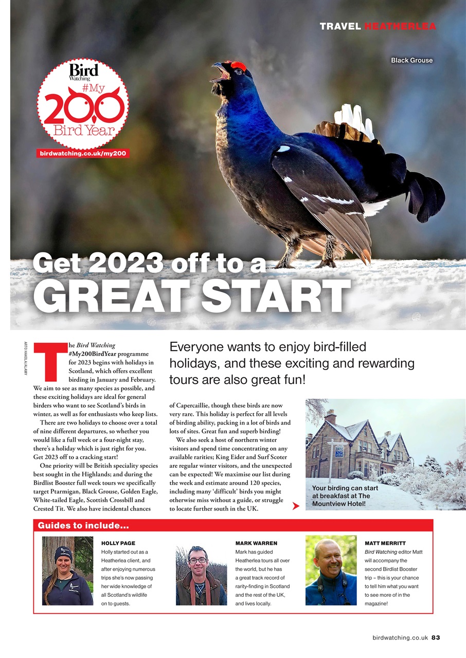 Bird Watching Preview Pages
