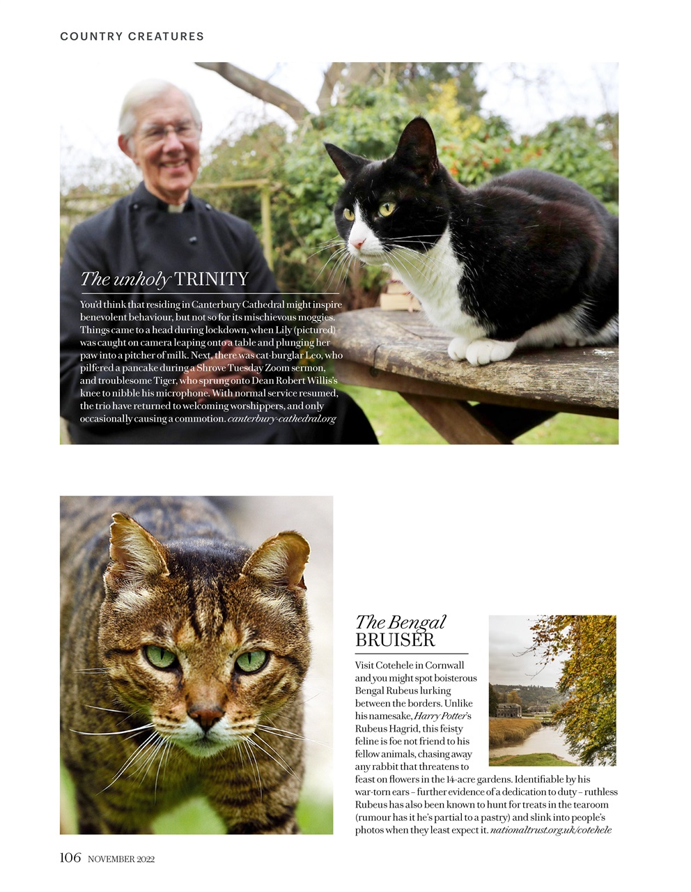 Country Living Preview Pages