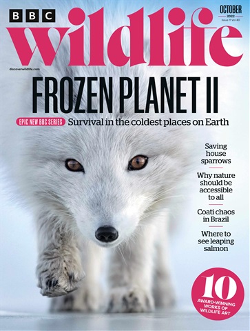 BBC Wildlife Magazine issue Oct-22