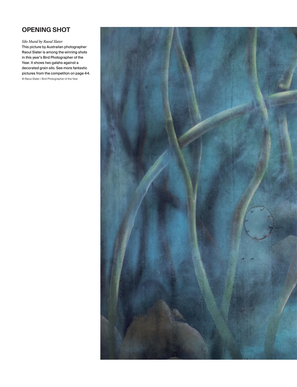 Outdoor Photography Preview Pages