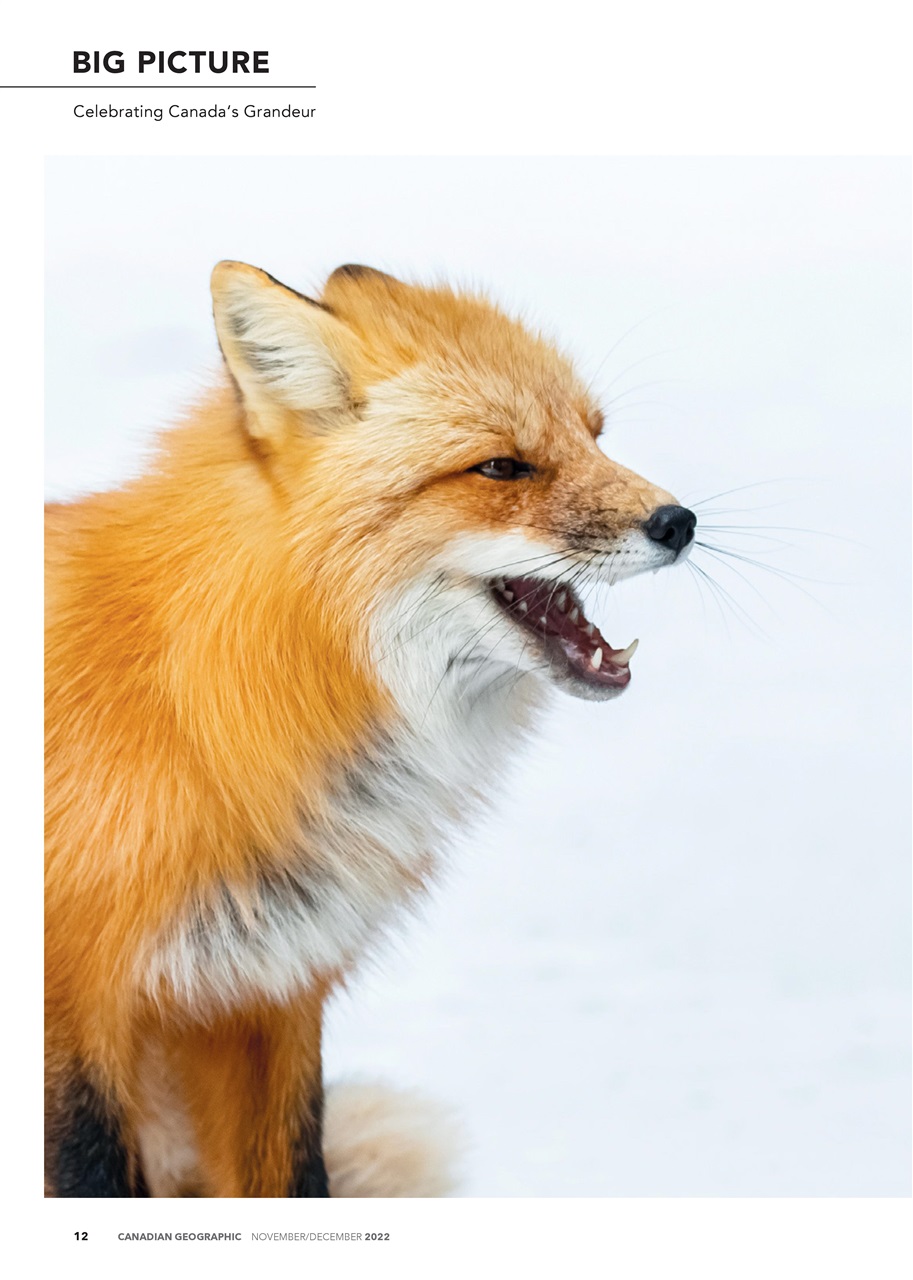 Canadian Geographic Preview Pages