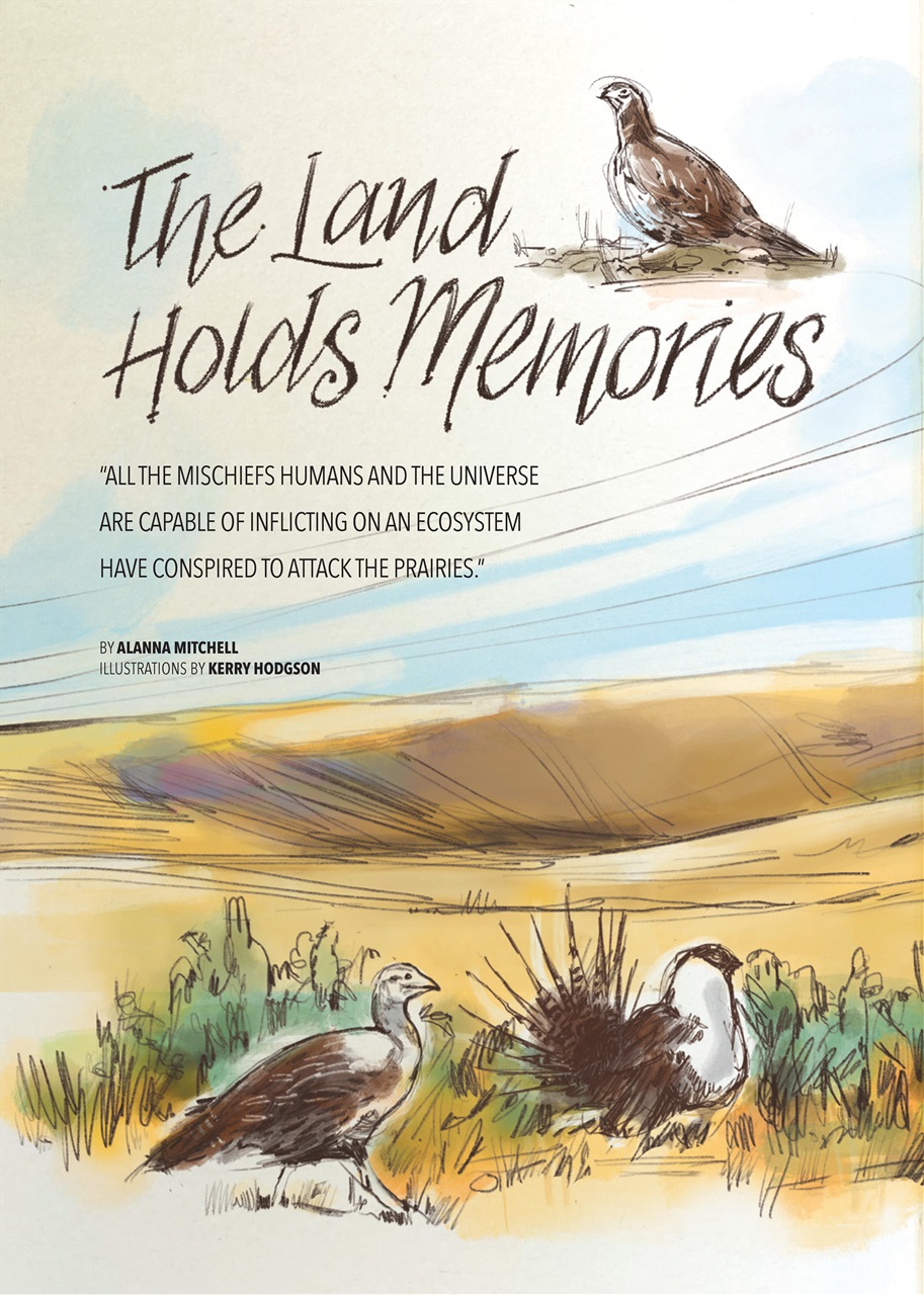 Canadian Geographic Preview Pages