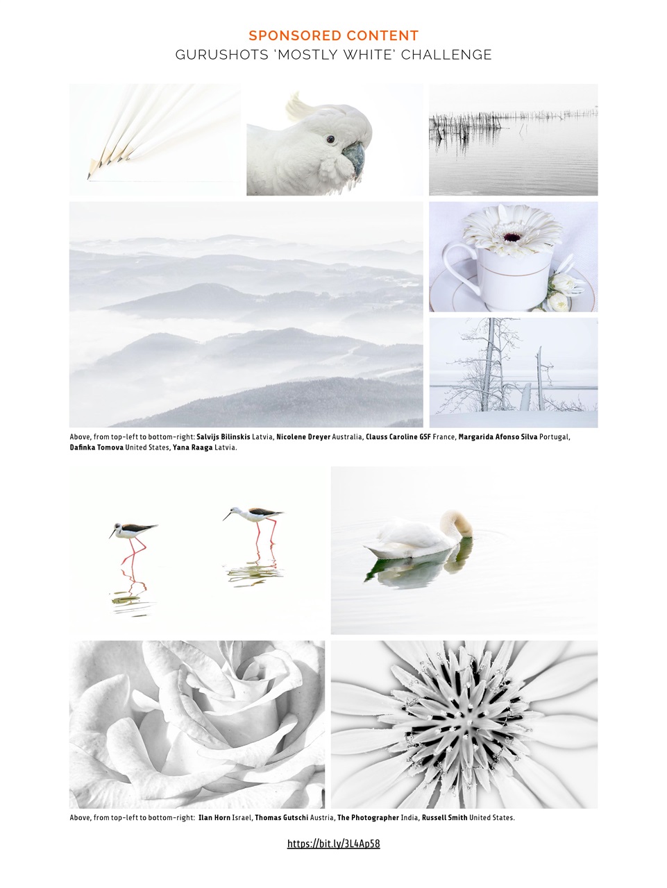 Photography Week Preview Pages