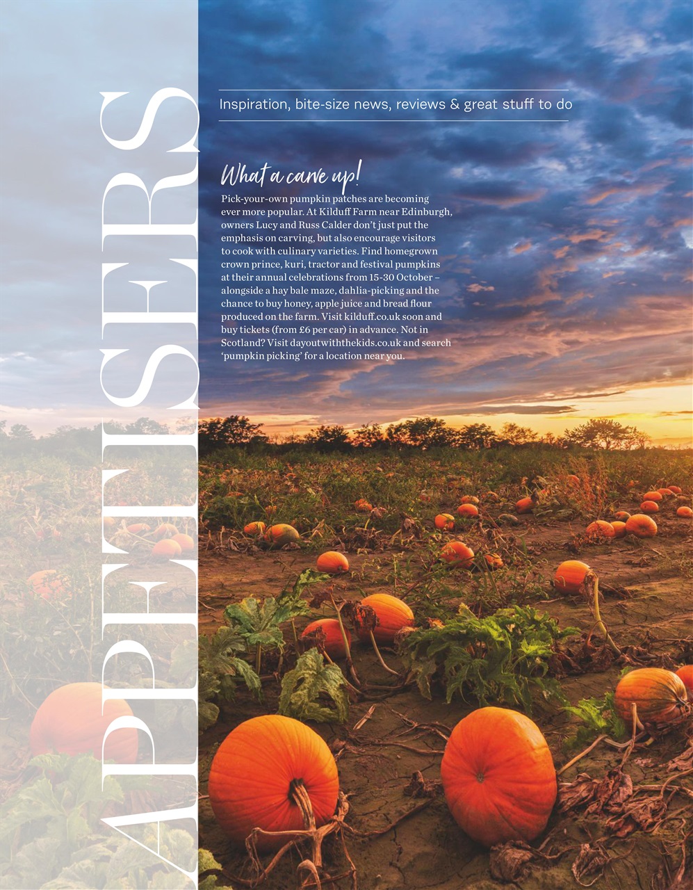 delicious. Magazine Preview Pages