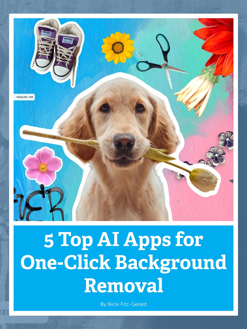 Mobiography Preview Pages