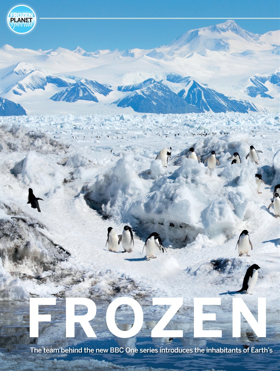 BBC Wildlife Magazine Preview Pages