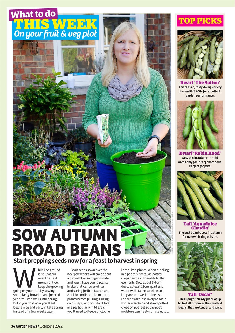 Garden News Preview Pages