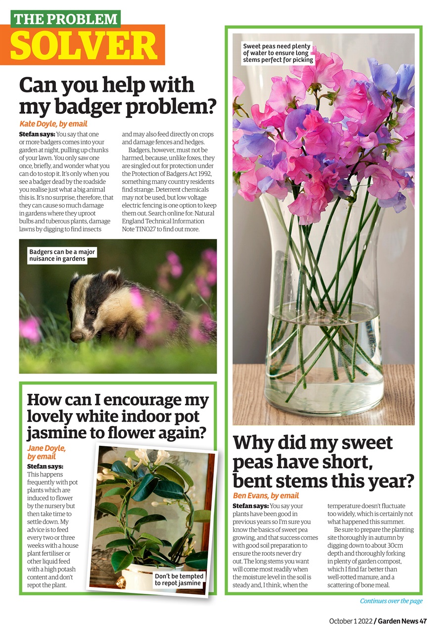 Garden News Preview Pages