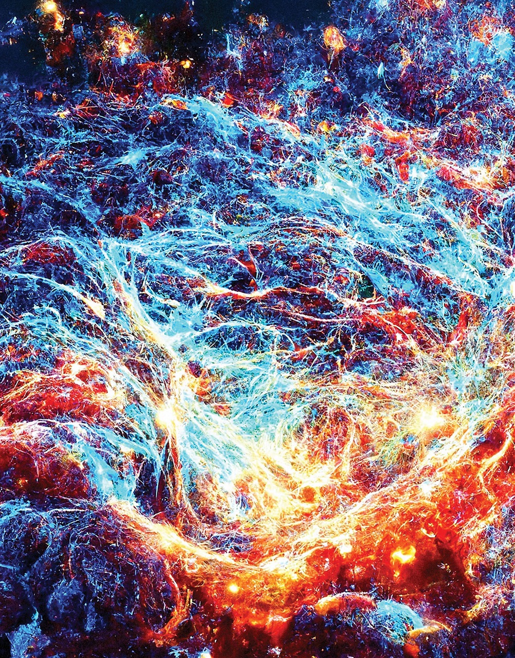 Adbusters Preview Pages