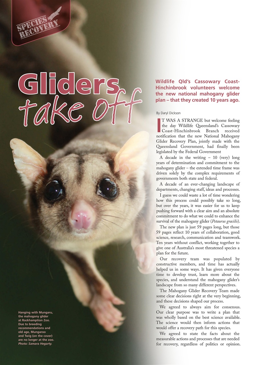 Wildlife Australia Preview Pages