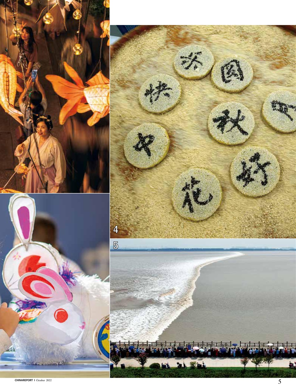 China Report Preview Pages