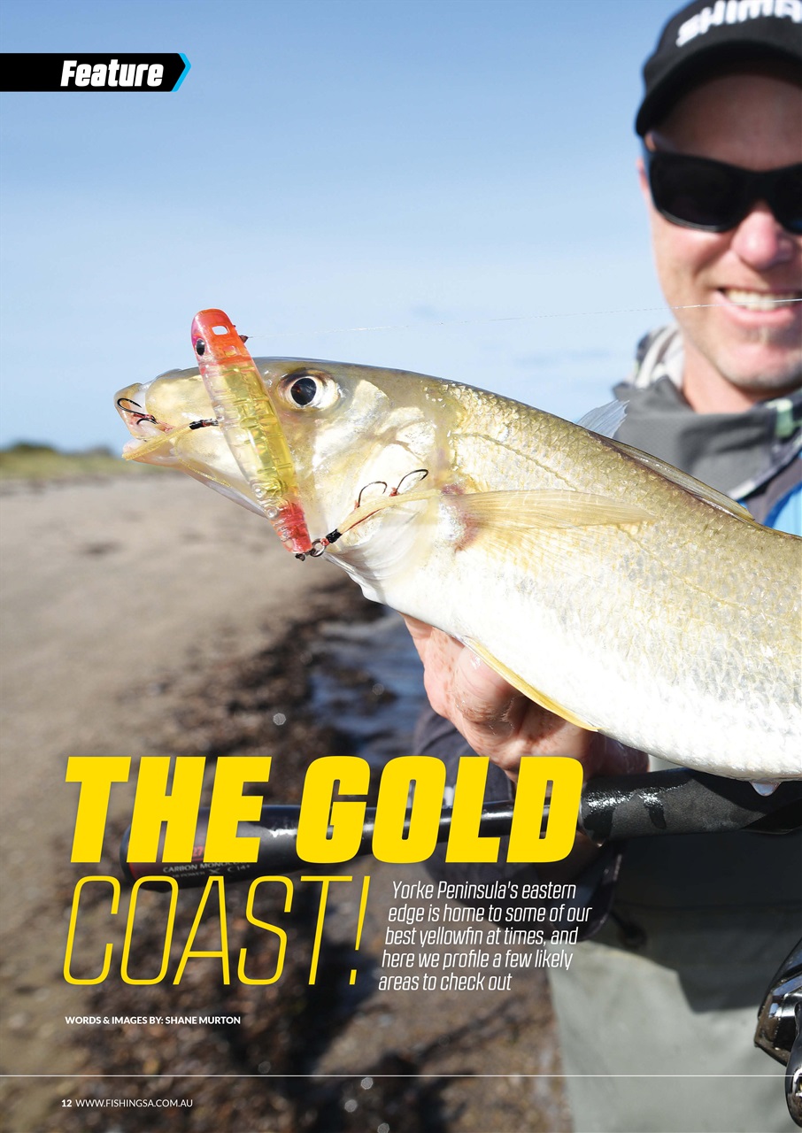 Fishing SA Preview Pages