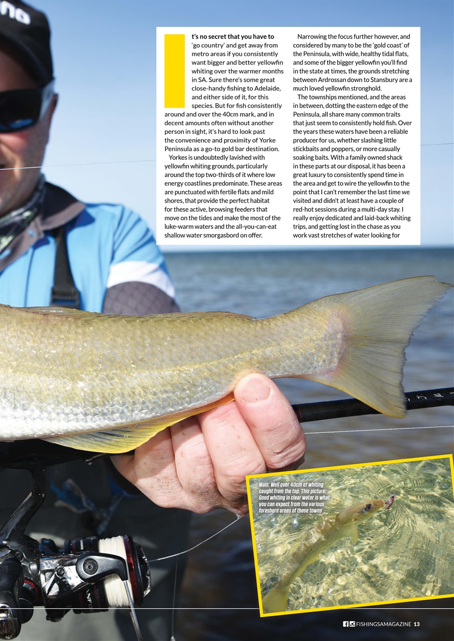 Fishing SA Preview Pages