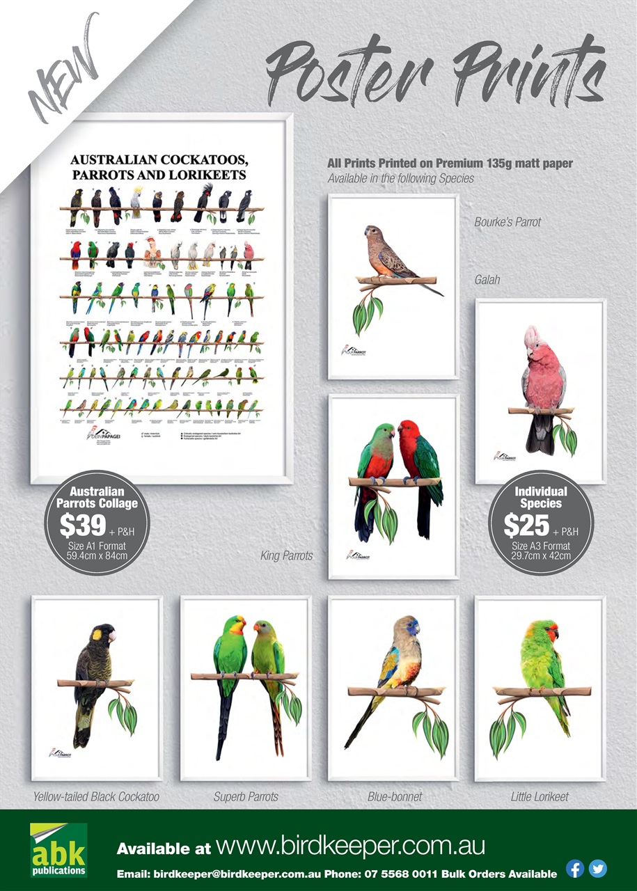 Australian Birdkeeper Magazine Preview Pages