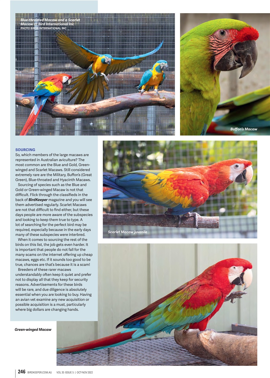 Australian Birdkeeper Magazine Preview Pages