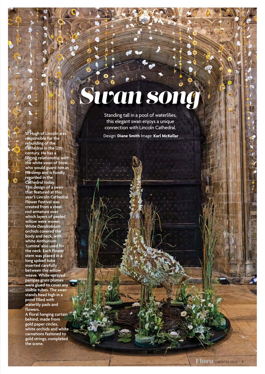 Flora International Preview Pages