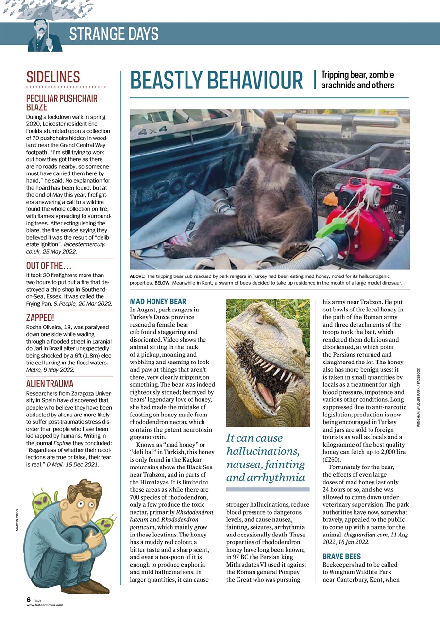 Fortean Times Preview Pages