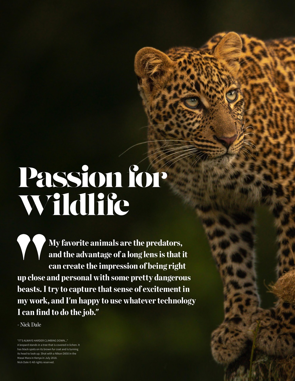 Lens Magazine Preview Pages