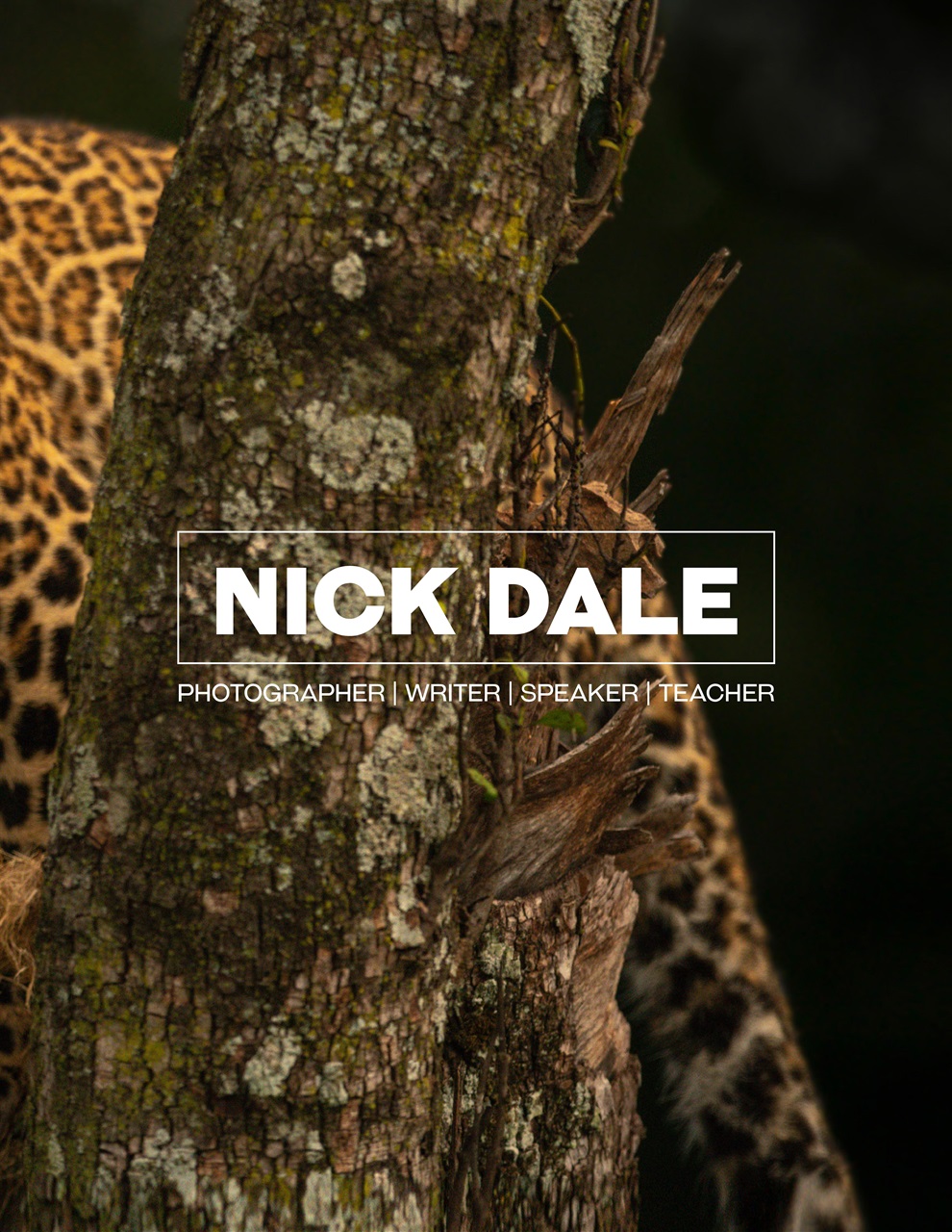 Lens Magazine Preview Pages