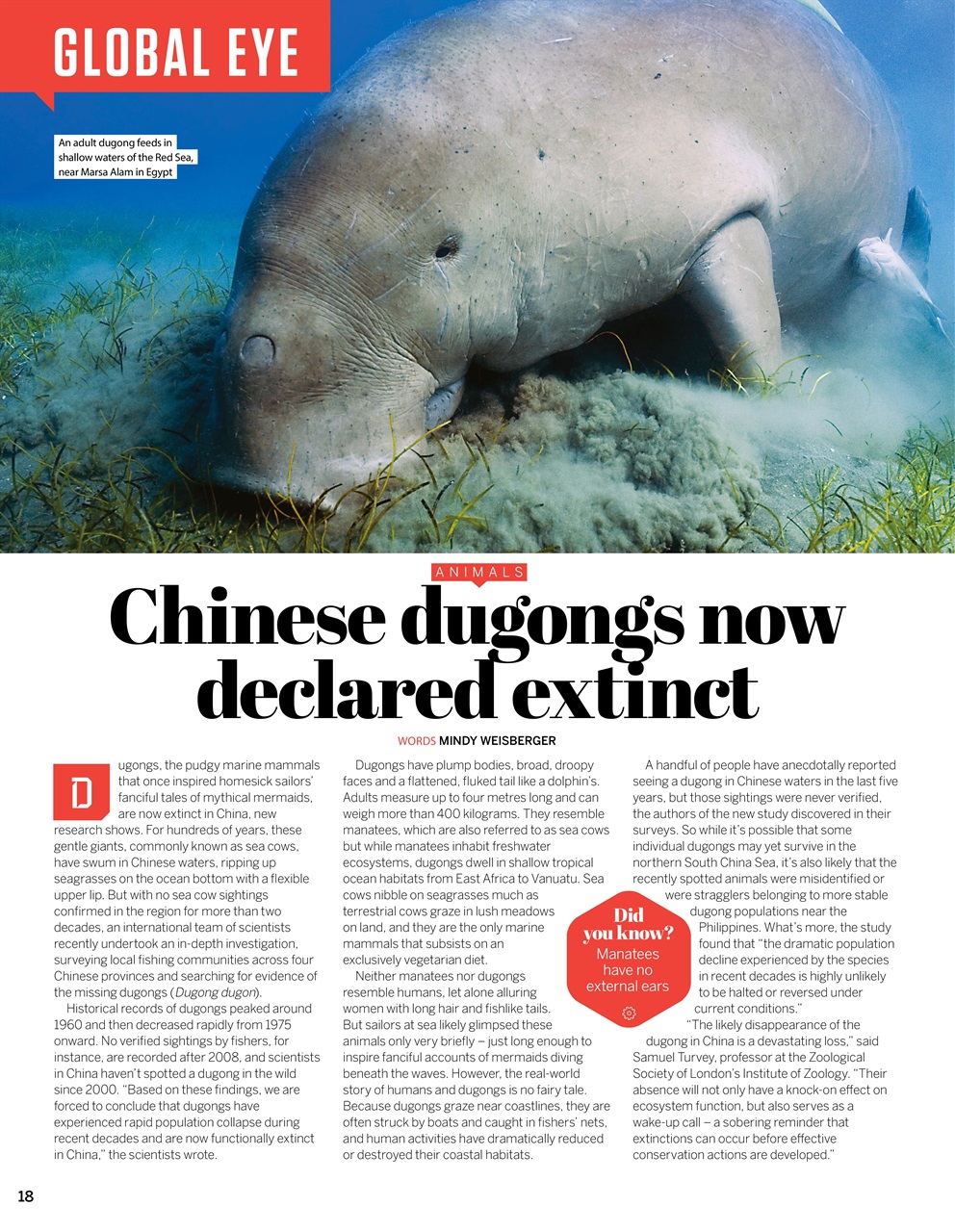 How It Works Preview Pages