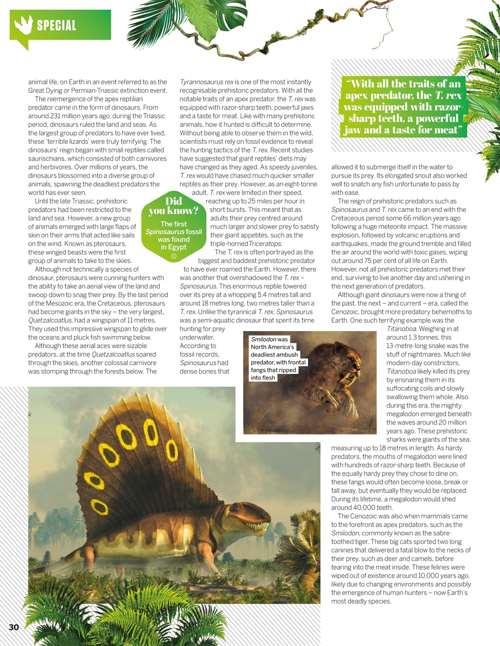 How It Works Preview Pages