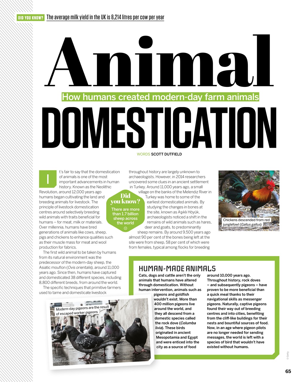 How It Works Preview Pages