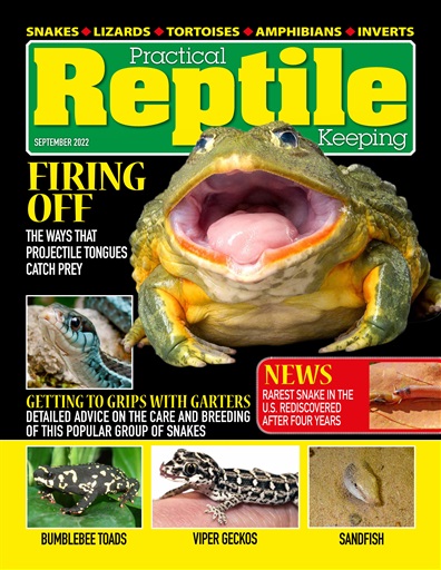Practical Reptile Keeping issue 