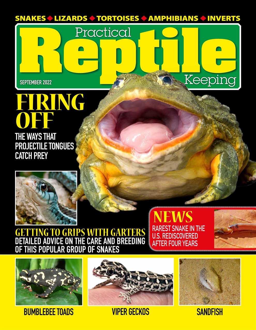 Practical Reptile Keeping Preview Pages