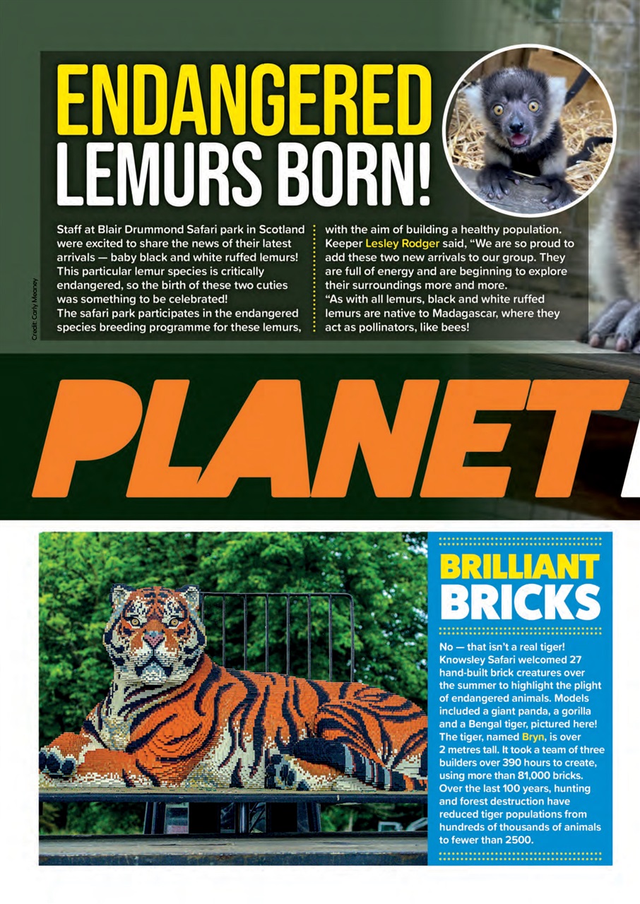 Animal Planet Kids Preview Pages
