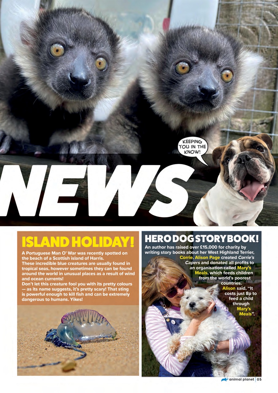 Animal Planet Kids Preview Pages