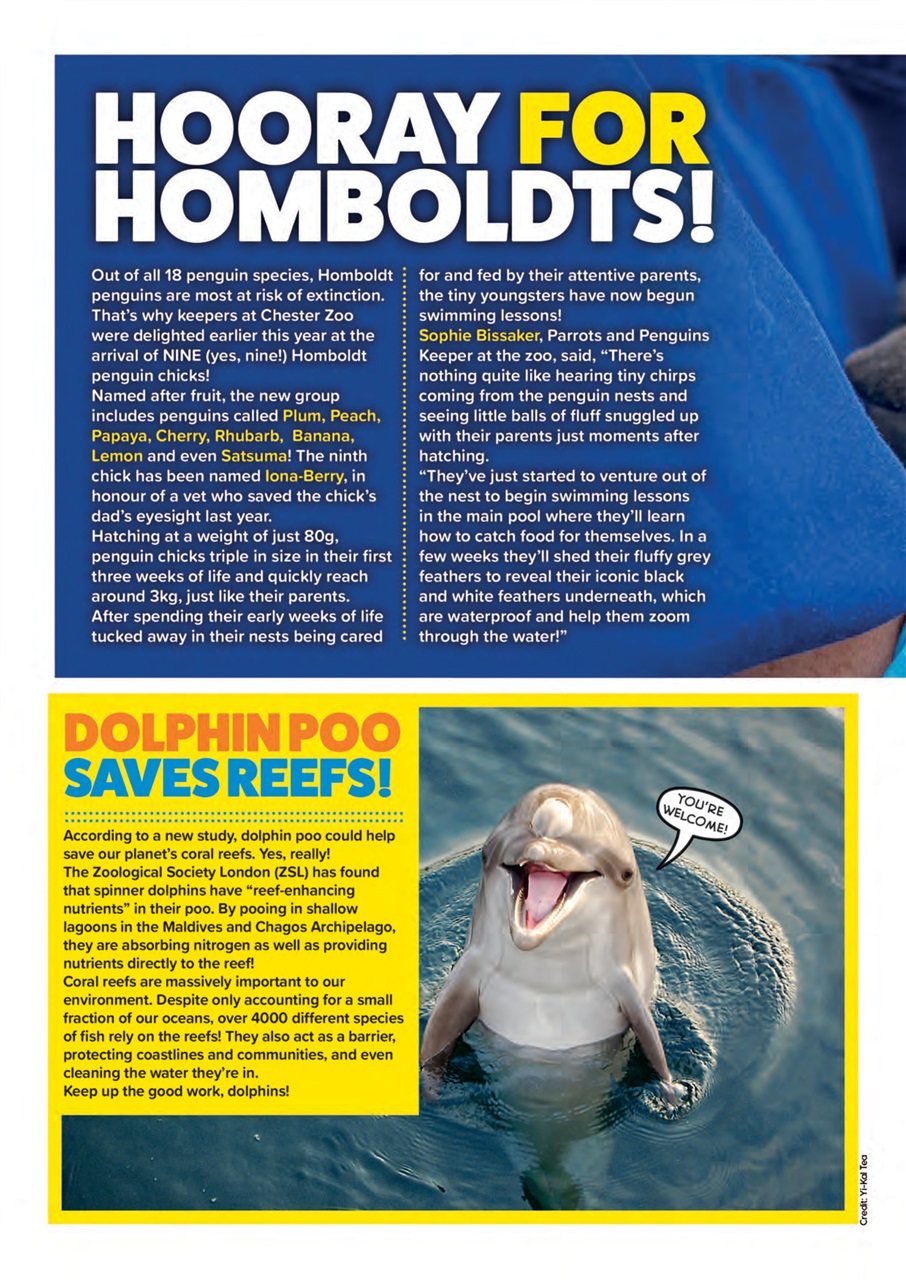 Animal Planet Kids Preview Pages