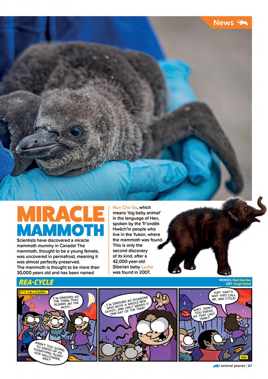 Animal Planet Kids Preview Pages