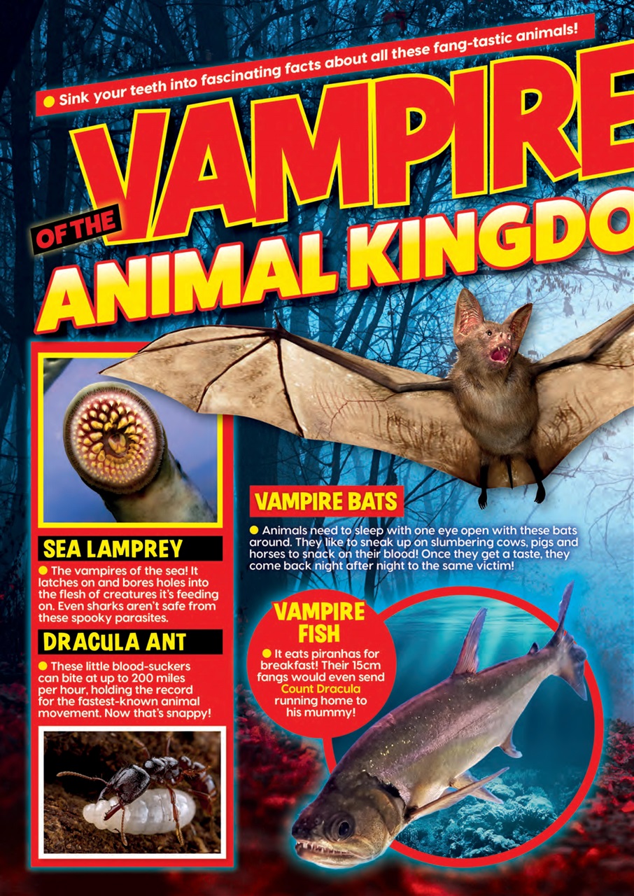 Animal Planet Kids Preview Pages