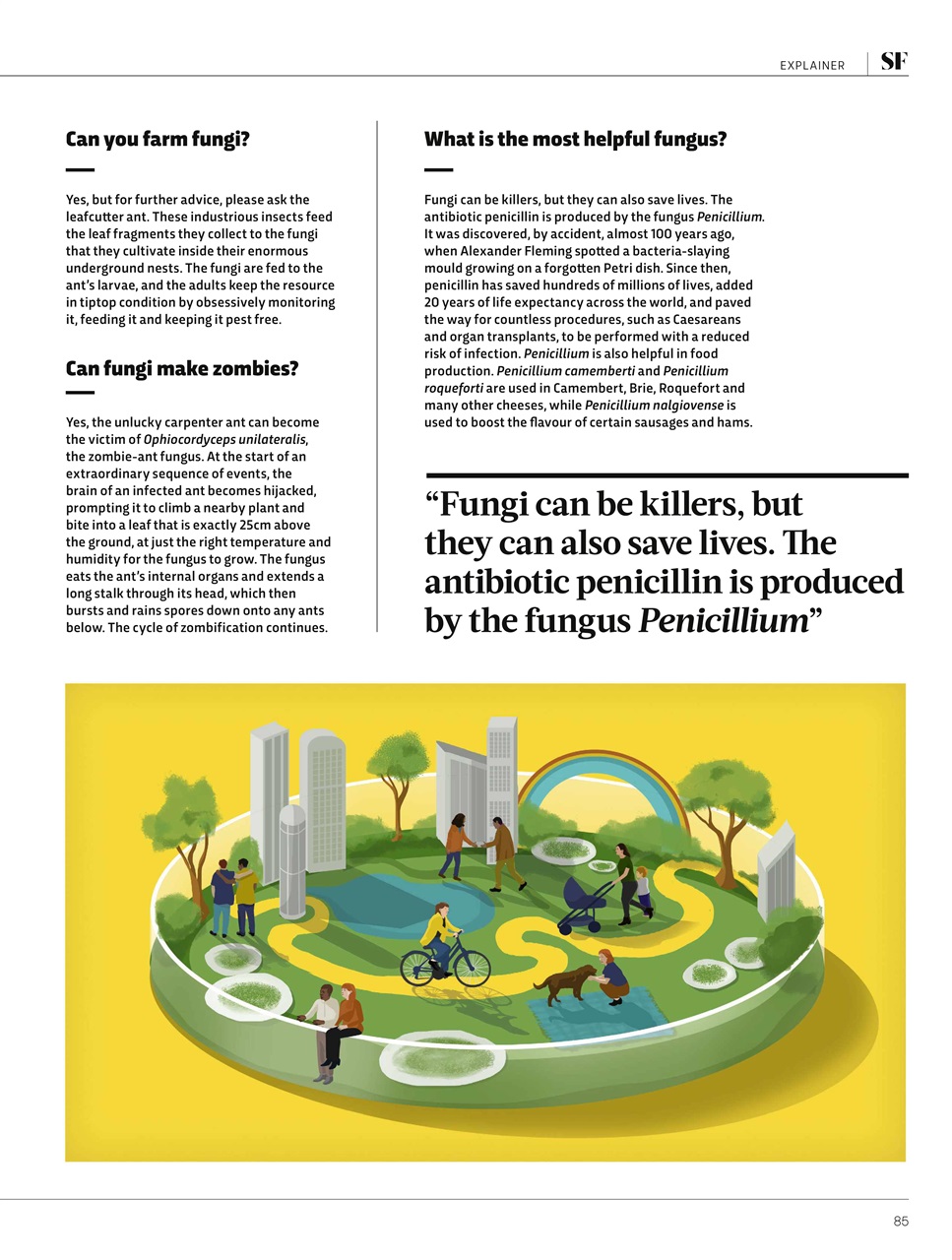 BBC Science Focus Magazine Preview Pages