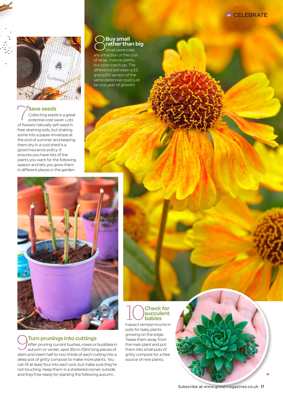 Garden Answers Preview Pages