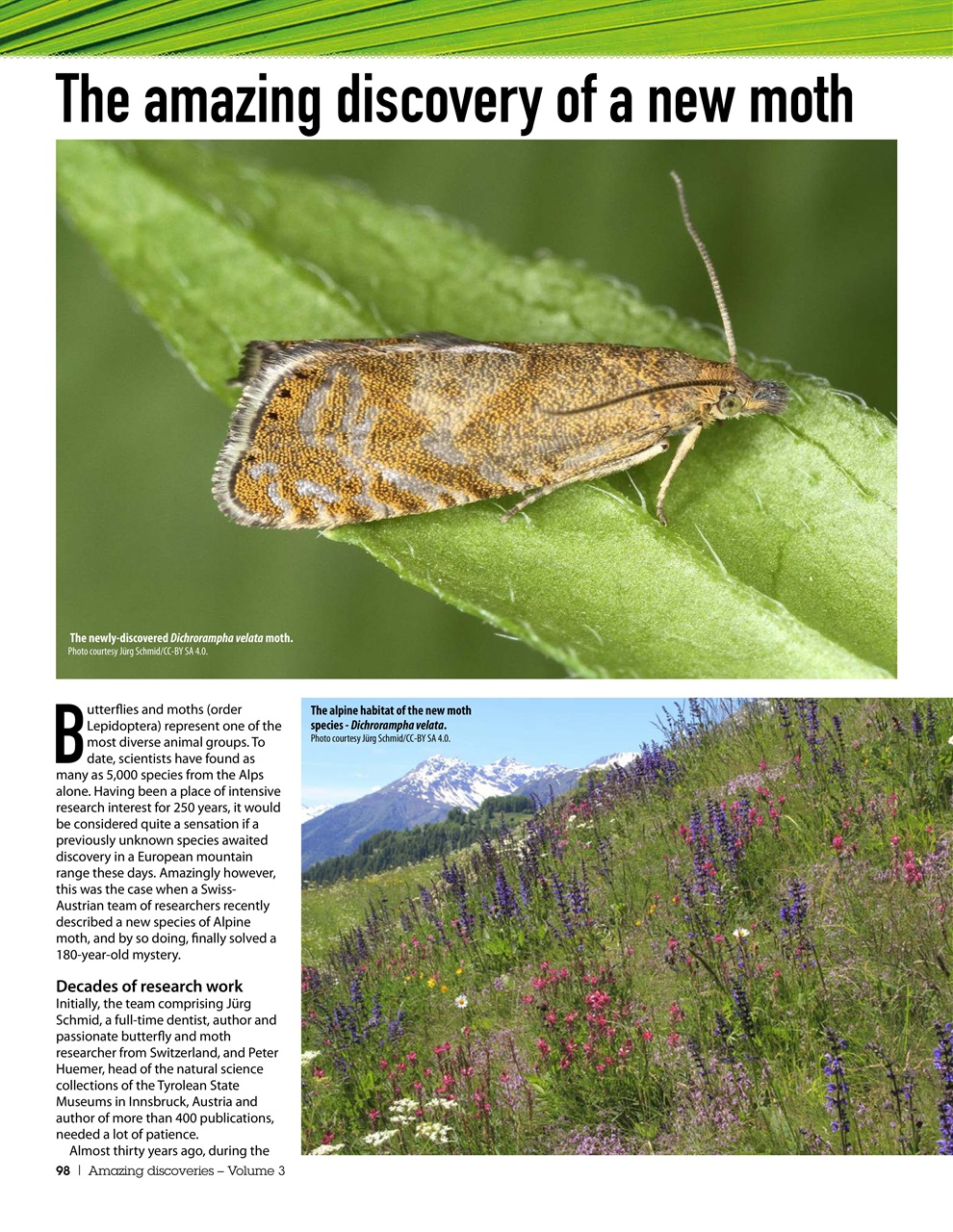 Practical Reptile Keeping Preview Pages