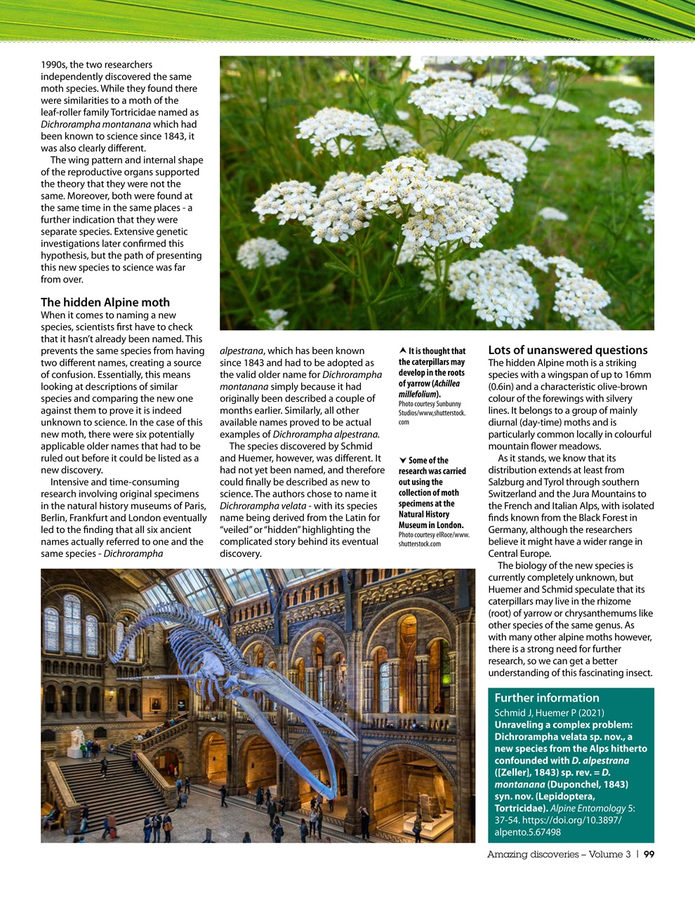 Practical Reptile Keeping Preview Pages