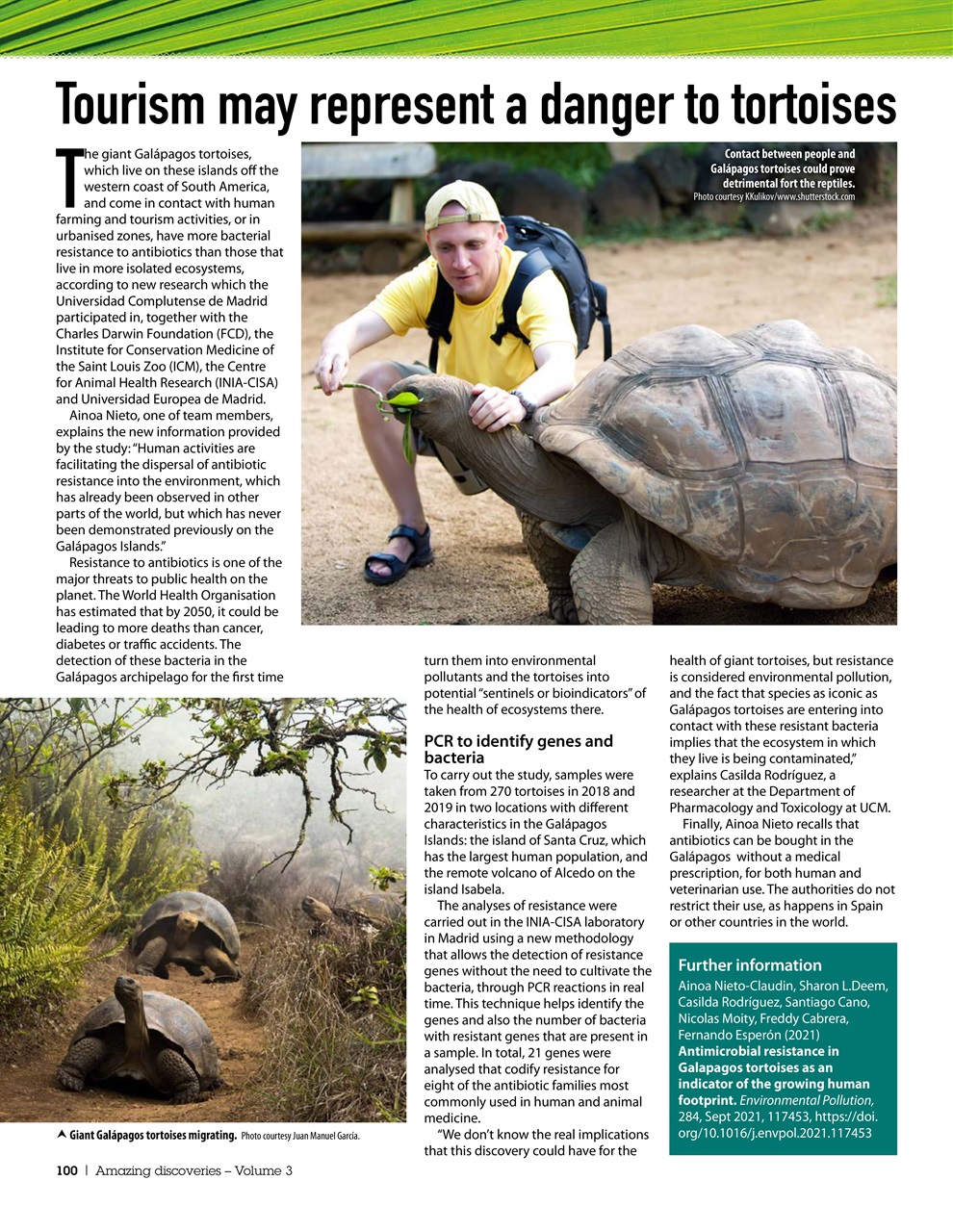 Practical Reptile Keeping Preview Pages