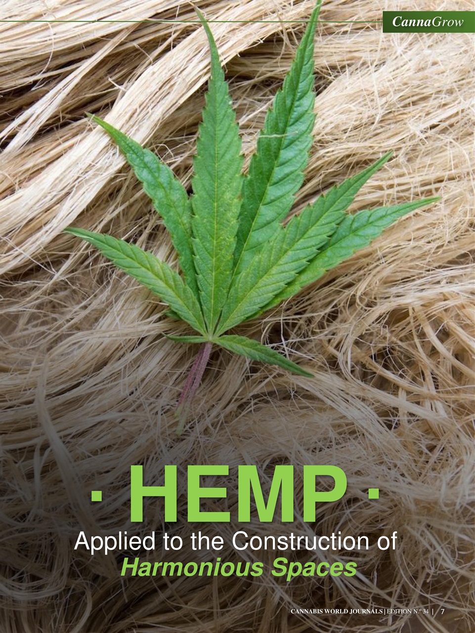 Cannabis World Journals Preview Pages