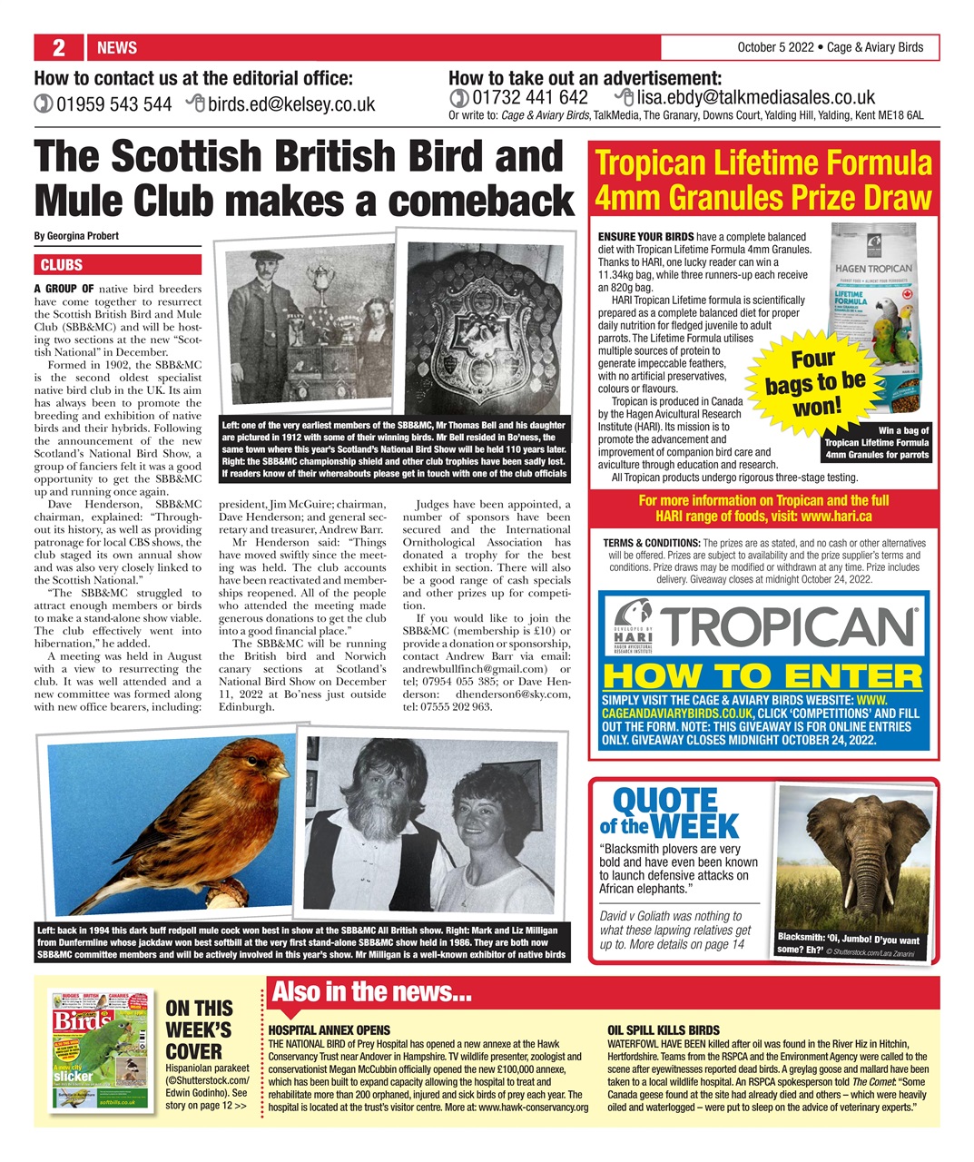 Cage & Aviary Birds Preview Pages