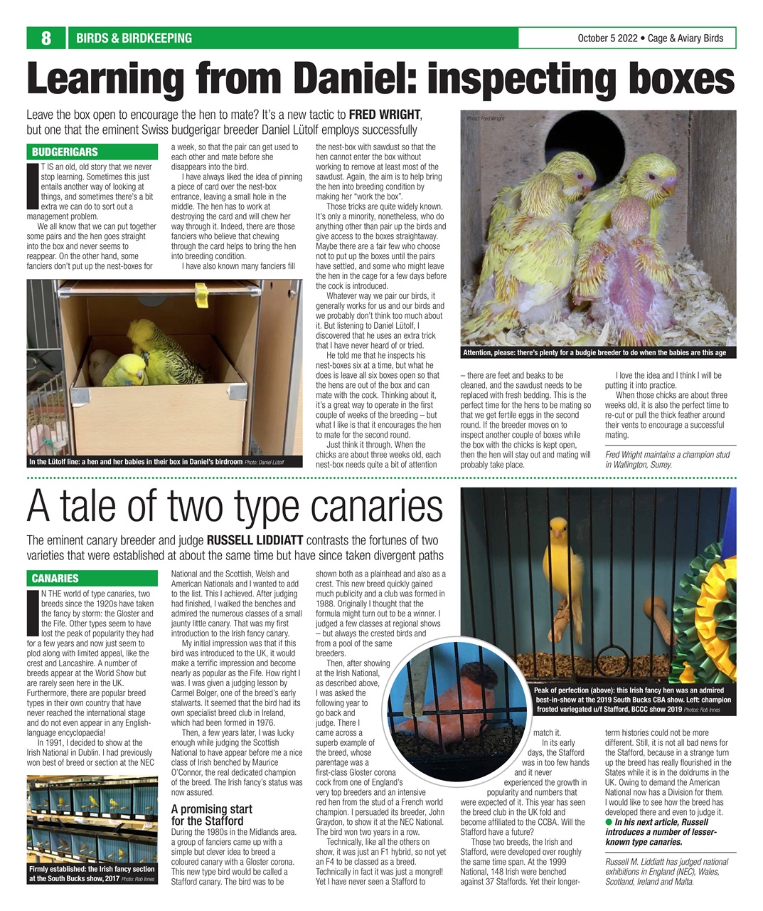 Cage & Aviary Birds Preview Pages