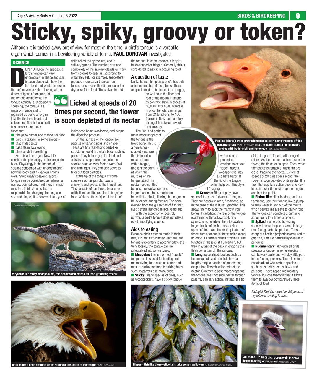 Cage & Aviary Birds Preview Pages