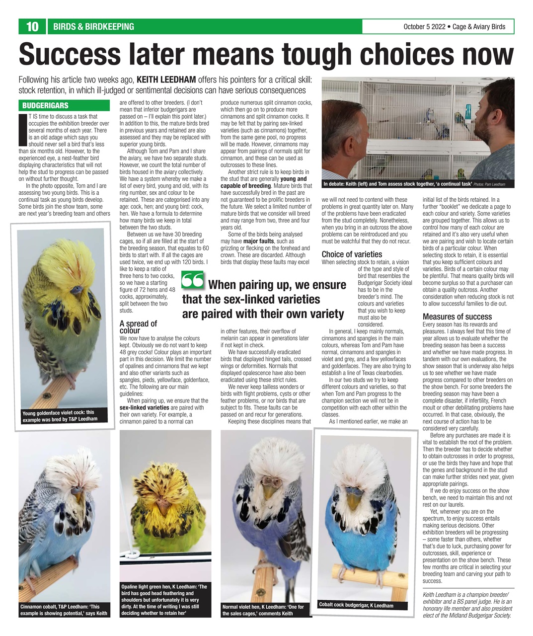 Cage & Aviary Birds Preview Pages