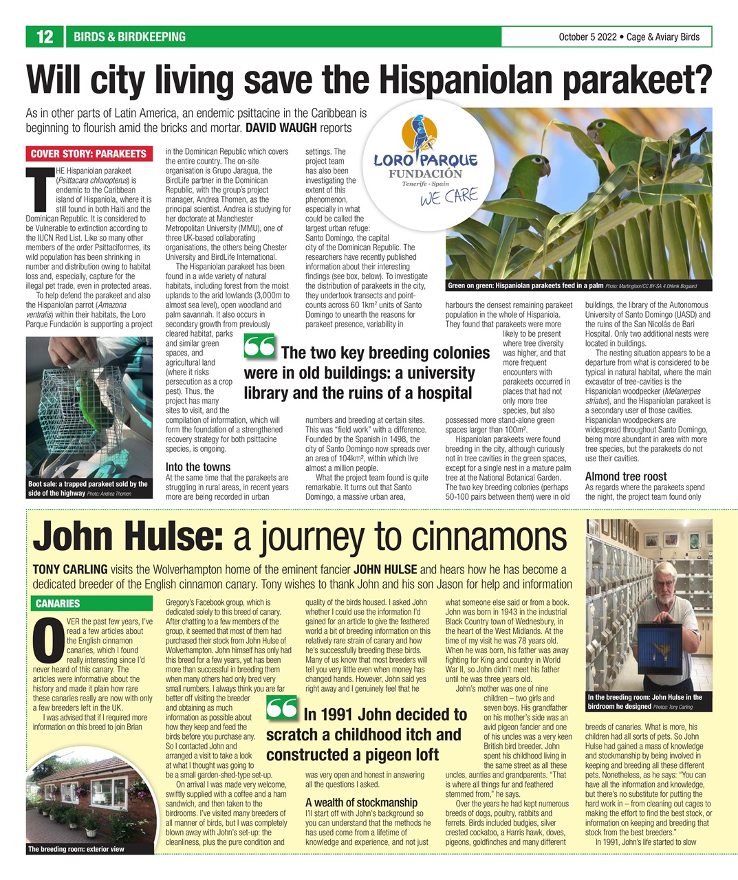 Cage & Aviary Birds Preview Pages