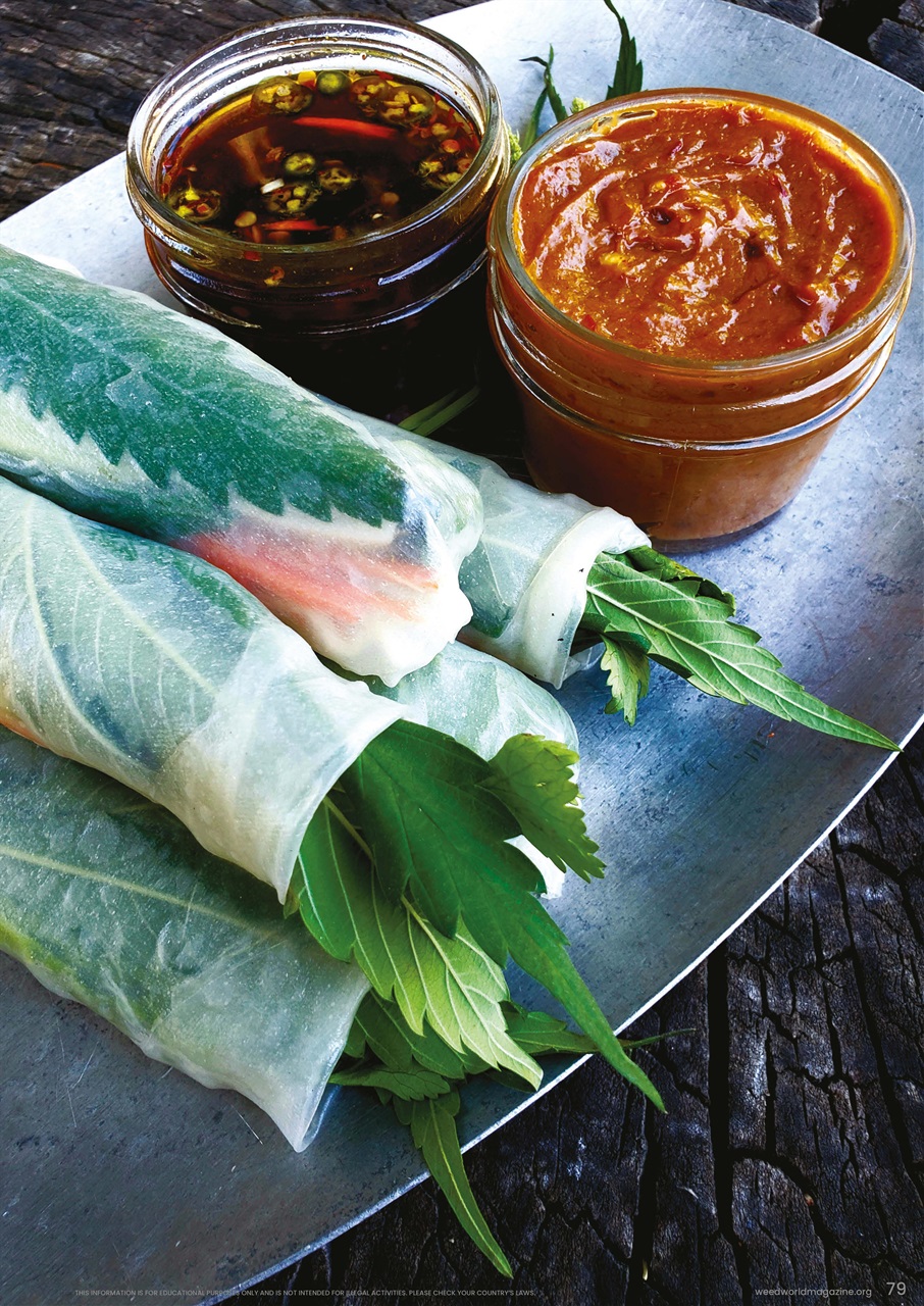 Weed World Preview Pages