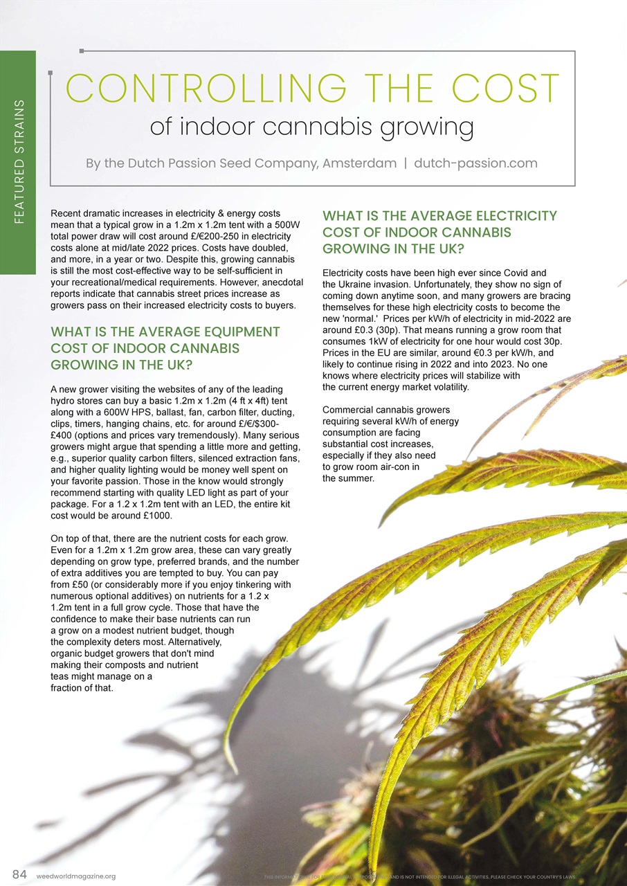 Weed World Preview Pages