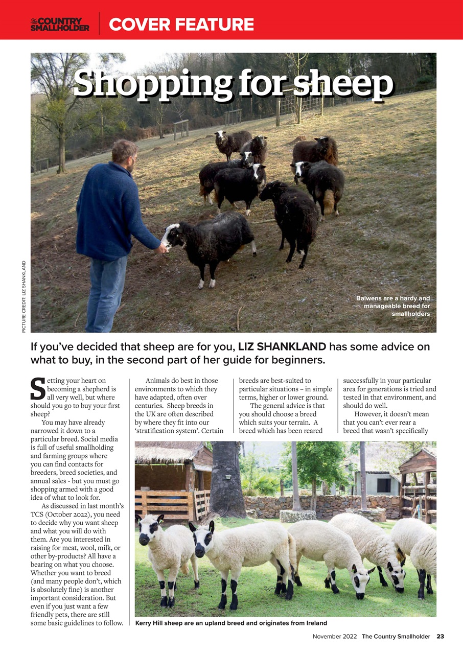 The Country Smallholder Preview Pages